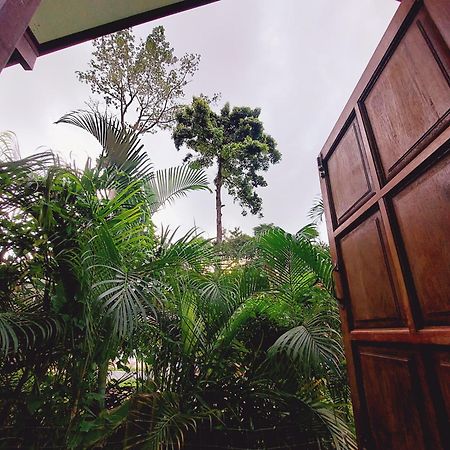 Papaya Cottage เกาะช้าง ห้อง รูปภาพ