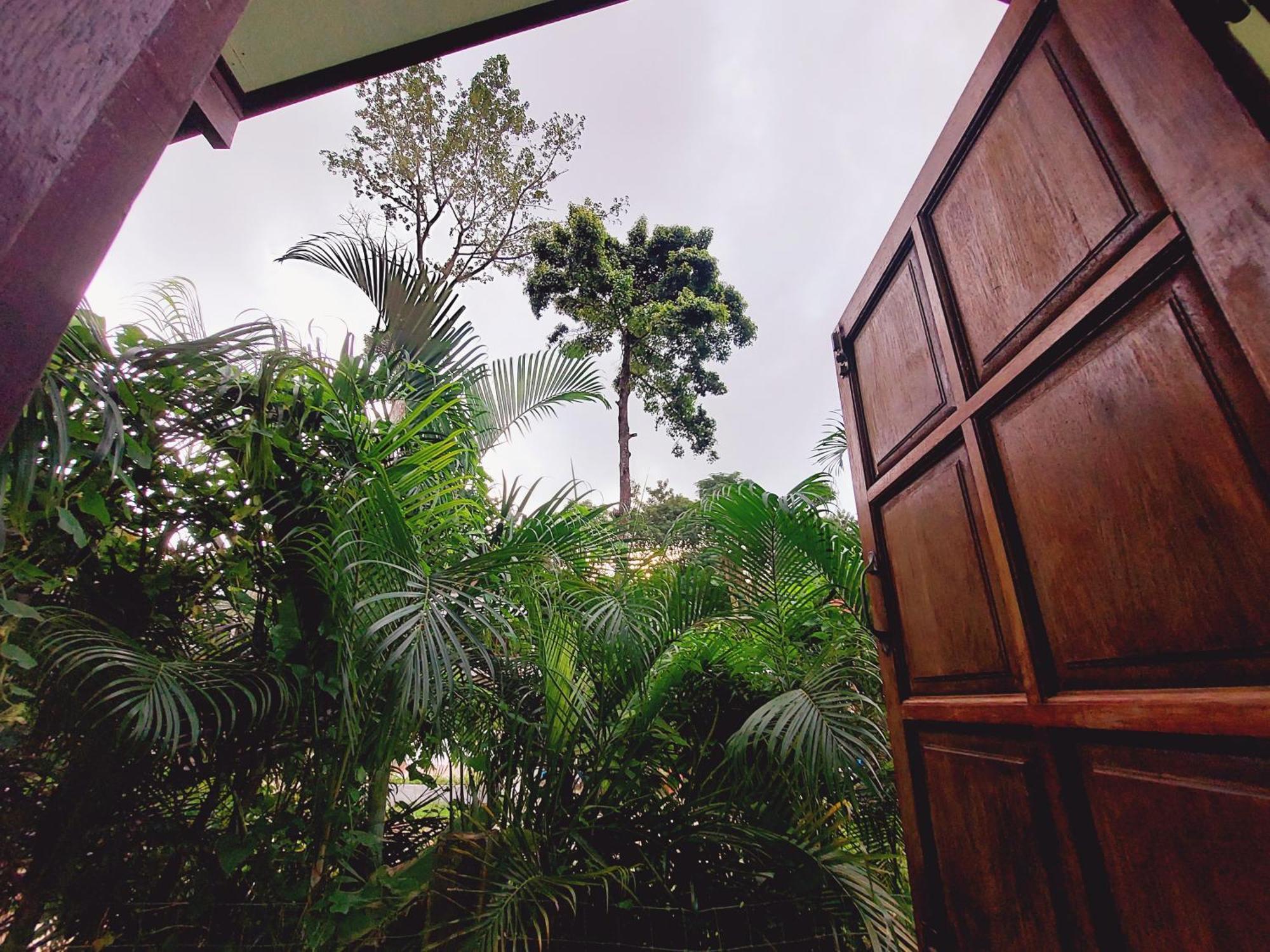 Papaya Cottage เกาะช้าง ห้อง รูปภาพ